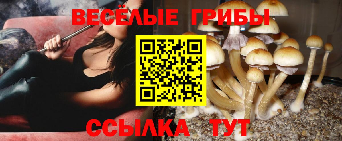 Псилоцибиновые грибы GOLDEN TEACHER  Вход с VPN  Бирск  Псилоцибиновые грибы GOLDEN TEACHER 