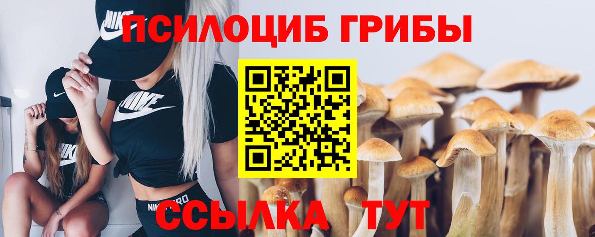 Псилоцибиновые грибы мицелий Бирск